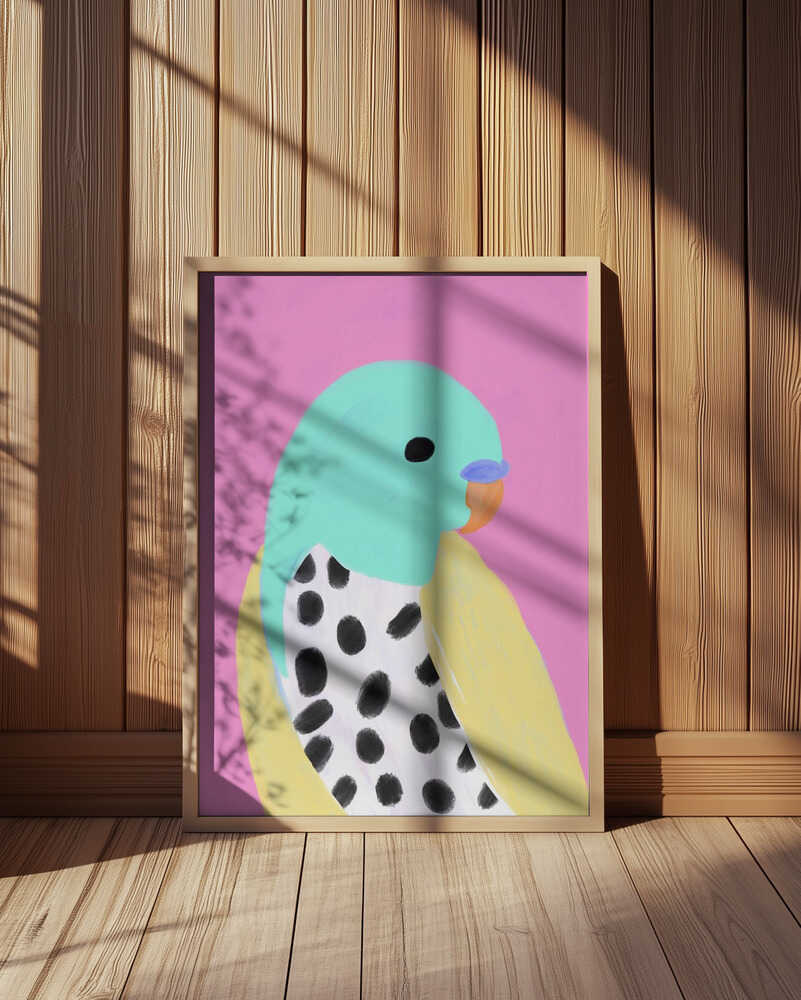 Pilkkupapukaija Juliste