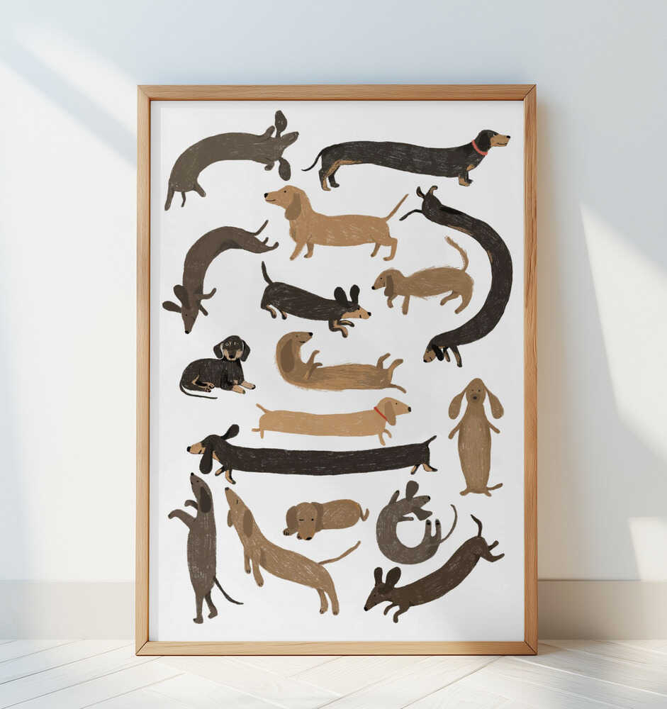 Mäyräkoira Juliste